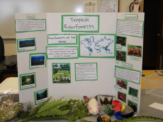 Plant and Animal Diversity Presentation Assignment