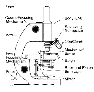 Microscope - labeled