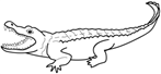 Description: http://bestclipartblog.com/clipart-pics/crocodile-clipart-1.gif